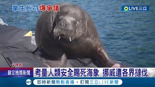 提倡人權卻忘了動物生命權... 挪威賜死\