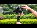 beholder ec1 camera stabilizer test video newest version not ds1 ms1