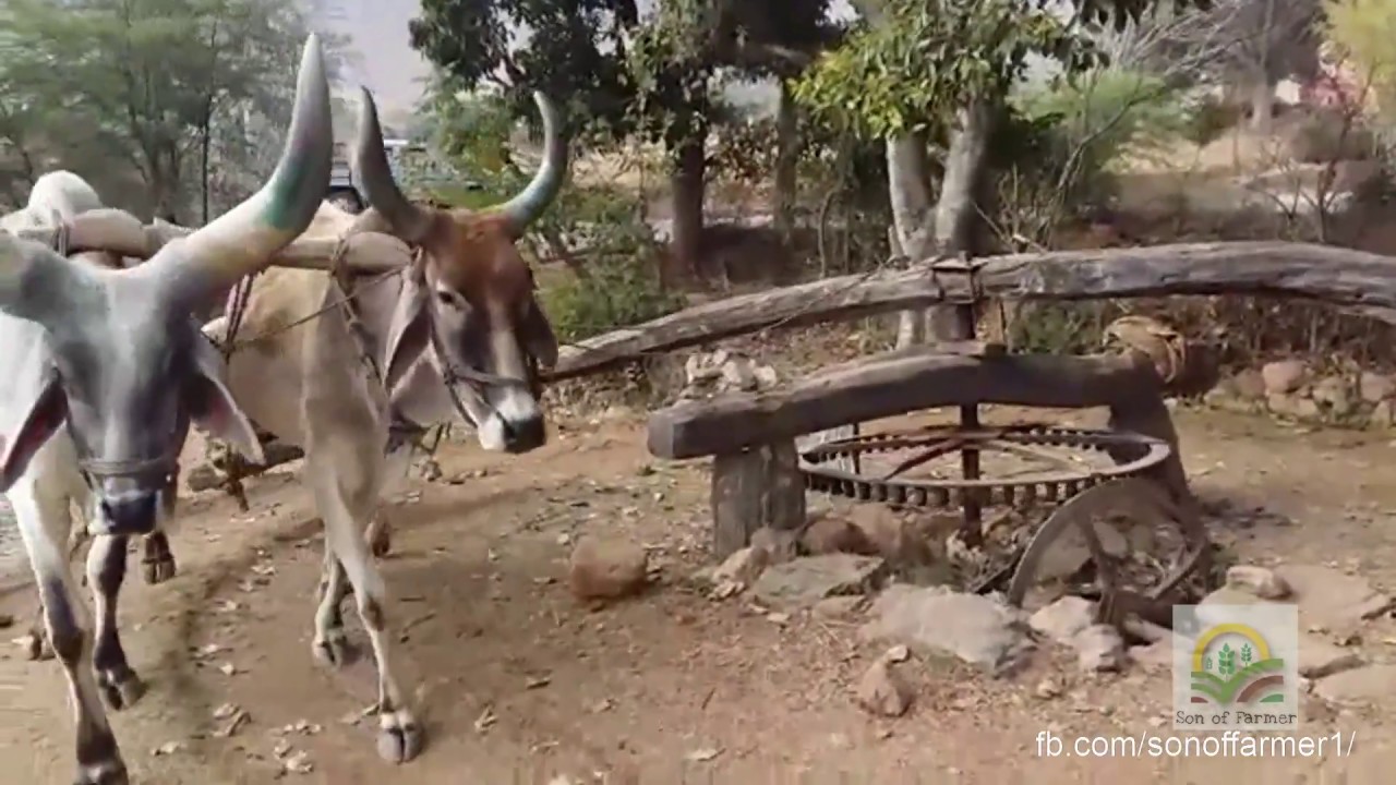 Ancient Irrigation Methods