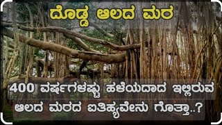 ಭಾರತದ 4 ನೆಯ ಅತಿ ದೊಡ್ಡ ಆಲದ ಮರ ಹಾಗೂ ಬ್ರಹತ್ ಮುಕ್ತಿ ನಾಗರ ದೇವಸ್ಥಾನ.