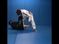 worm guard to back take