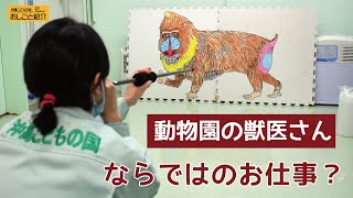 お仕事紹介【獣医のお仕事（吹き矢）】Introducing the work of a veterinarian in Okinawa Zoo \u0026 Museum ~BLOWGUN~