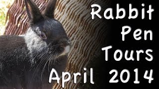 BudgetBunny: Rabbit Pen Tours *April 2014*