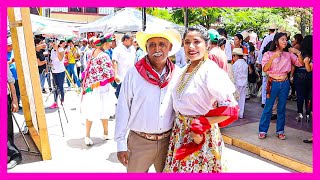 🌸 Don Celso Encontró Excelente Bailadora En El 14 Aniversario De Los Domingos De Huapango En Xilitla