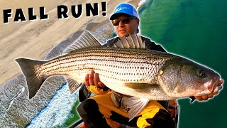 KAYAK FISHING THE STRIPED BASS FALL RUN!