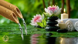 Healing Sleep Music 🌿 Soothing Piano Music and Nature Sounds, Deep Sleep, Calming Music, Spa Music