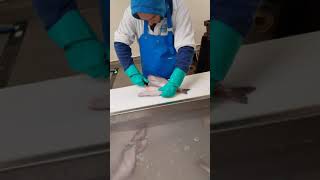 Haddock fish filleting (single filets)