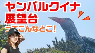 りょうさんチーコの沖縄旅行、ヤンバルクイナ展望台編だよ！〜きっちり紹介〜