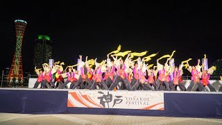 [4K]佛教大学よさこいサークル 紫踊屋　神戸よさこい2017 前夜祭 高浜岸壁会場