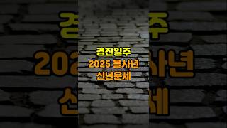 경진일주 2025년 을사년 신년운세 #경진일주 #신년운세 #운세