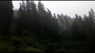 Sturm in Weissbriach (Gitschtal, Kärnten, Österreich) - ca. 140 km/h - 10.8.2017