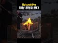 naturehike 네이처하이크 대형 투명화로대🔥🪵 가을캠핑 가보자구😎