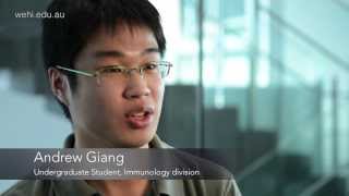 Andrew Giang (2013): Honours student, Immunology division