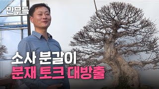 06. 소사나무 분갈이, 상처난 분재가 어때서?! l 소사 분재 part.1