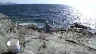 Απίκο στα βράχια με Ζυμάρι - Pole Fishing on the Rocks