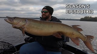 SUPER HEAVY Fall Musky HITS HARD! Muskie Hunting Northern Wisconsin! S5.E33