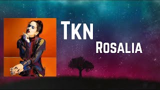 ROSALÍA & Travis Scott - TKN  Lyrics