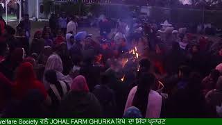 JOHAL FARM GHURKA ਵਿਖੇ ਪਾੲੀ ਜਾ ਰਹੀ 1100 ਧੀਅਾਂ ਦੀ ਲੋਹੜੀ 2020