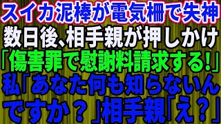 【スカッとする話】スイカ畑に泥棒が押し入り、電流注意の柵に引っ掛かり失神した→数日後、泥棒が親と一緒に家へ押しかけ「慰謝料を払え！」私「あなた何も知らないんですか？」直後【修羅場】 1