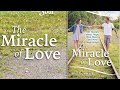 Chicken Soup for the Soul: The Miracle of Love