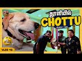 Chottu செம Happy அண்ணாச்சி  😁😍| Vlog 40 | Mr.Chottu