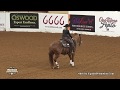 Shine Smarter ridden by Sarah L. Dawson  - 2018 Celebration of Champions (Open Hackamore, FINALS)