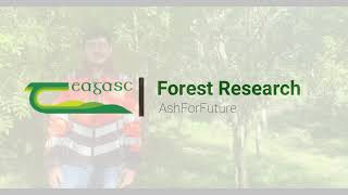 AshforFuture Project – Breeding ash for dieback disease tolerance to re-establish ash in Ireland