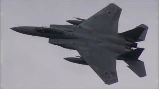 教導訓練３日目 アグレス８機による【ヒネリ】の競演 Rwy21L 百里基地 nrthhh