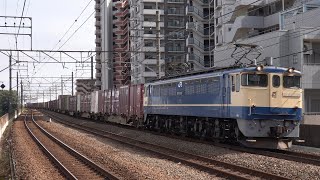 EF65 2101牽引　72レ　新座駅　2021.11.01撮影