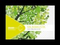 raumakustik loving the trees ron flatter remix hq