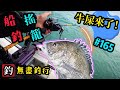 杜小銘的無盡釣行#165_#釣魚 #香港釣魚 #釣り #艇釣 #船釣 #雞魚 #白鱲 #誘餌籠 #搖籠 #五目釣り #牛屎鱲  #鱲魚 #黃腳鱲  #西水 #黑沙 #港水 #黑鱲