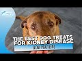 The Best Dog Treats for Kidney Disease Low Protein