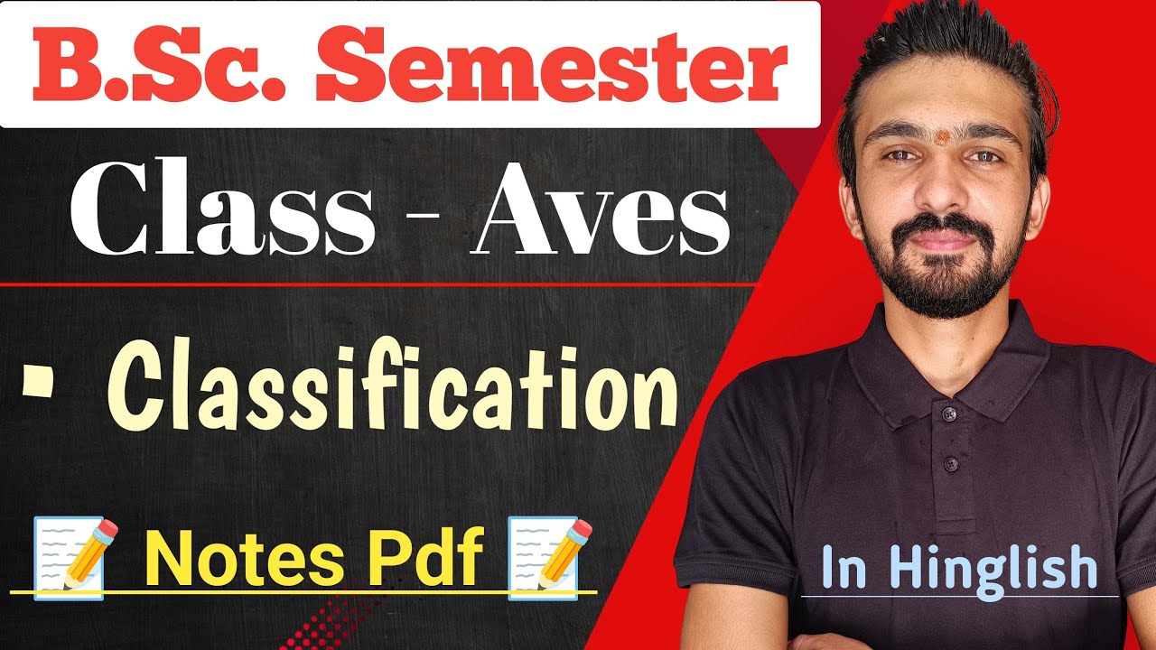 A Bird S Place In Nature The Classification Of Aves Explained