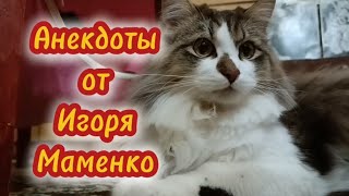 Анекдоты от Игоря Маменко.🤣Информация для зрителей 👇