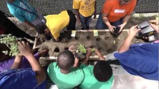 Teaching Gardens Chapter 1: How Do We Build a Garden?