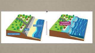 Les causes et caractéristiques de la submersion marine