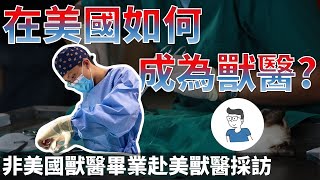 非美國學歷如何在美國如何成為獸醫? 想不到薪資待遇差這麼多 美國獸醫訪談