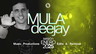 Sesion ENERO 2025 MIX (Mula Deejay) [Reggaeton, Comercial, Trap, Flamenco, Dembow]