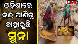 Gold In Odisha Live |ଏଠି ମାଟି ଓ ପାଣିରୁ ବାହାରୁଛି ସୁନା | ସୁନାପେଣ୍ଠରେ ସୁନାର ସନ୍ଧାନ | Keonjhar News