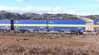 大日グループ・西濃運輸の貨物列車＠宮城県岩沼市　線路の近くの滑り台から