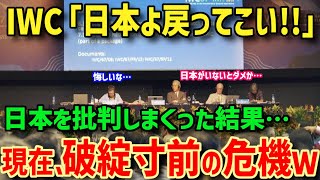 【海外の反応】反日組織IWC、日本を追放した結果、大した活動もできず破産寸前に追い込まれてしまうｗｗ【グレートJAPANちゃんねる】