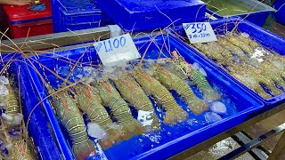 AMAZING Naklua fish market in Pattaya! SEAFOOD PRICES in Thailand 2022