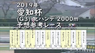 2019年 愛知杯(Ｇ3) 牝ハンデ 2000m 予想参考レース