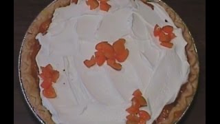 Quick Homemade Apricot Pie