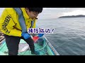 【筏釣り 海香】やる時はやる男⁉︎牡蠣チヌ実践編！