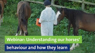 Webinar: Understanding our horses' behaviour and how they learn