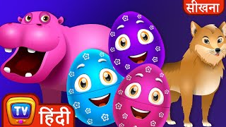 सीखिए जंगली जानवर जादुई अंडे (Learn Wild Animals Magical Eggs) - ChuChuTV Hindi Surprise Eggs