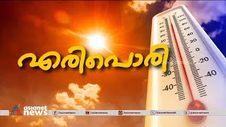 വേനൽ കടുത്തു, കനത്ത ചൂടിൽ വാടിക്കരിഞ്ഞ് വാഴകൃഷി