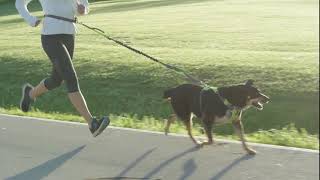 Tuff Mutt Hands-Free Dog Leash for Running, Walking, Hiking, Durable Dual-Handle Bungee Leash