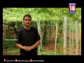 payir thozhil pazhagu பயிர்த்தொழில் பழகு episode 8 news18 tamilnadu